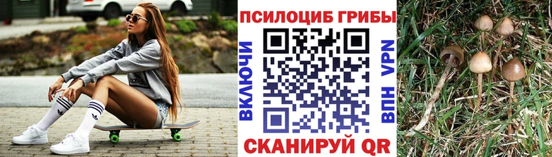 Галлюциногенные грибы Cubensis  цены наркотик  Абакан 