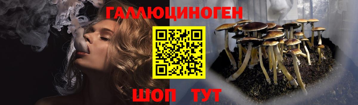 закладка  Псилоцибиновые грибы мицелий  Абакан  Псилоцибиновые грибы Cubensis 